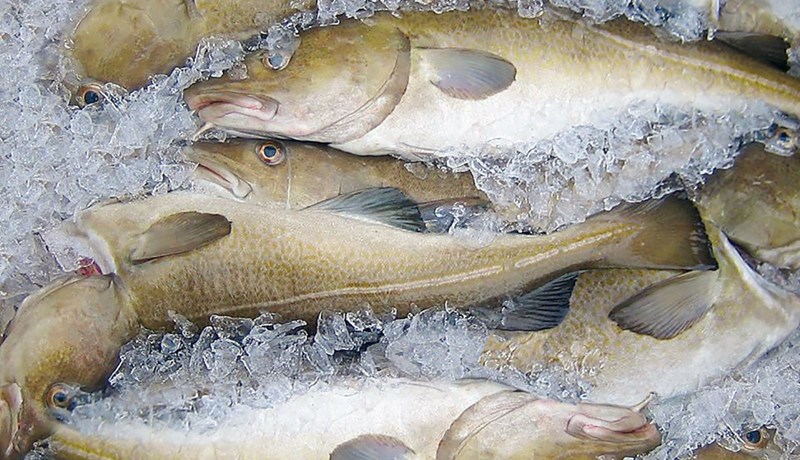 Bætt aflameðferð á smábátum