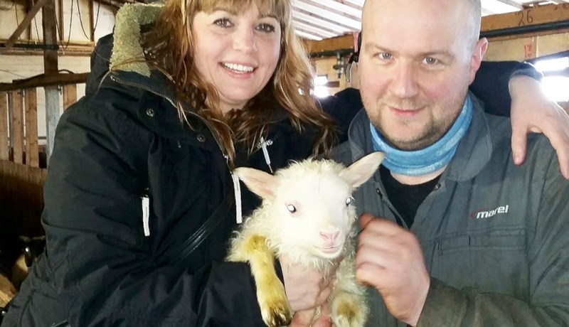 Fyrsta lamb ársins heitir Henry