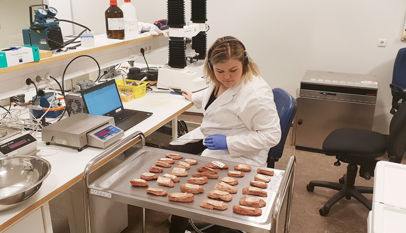 Folaldakjöt er náttúrulega meyrt kjöt