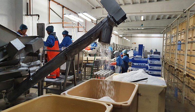 Áttatíu milljarða útflutningstekjur Grindvíkinga í húfi