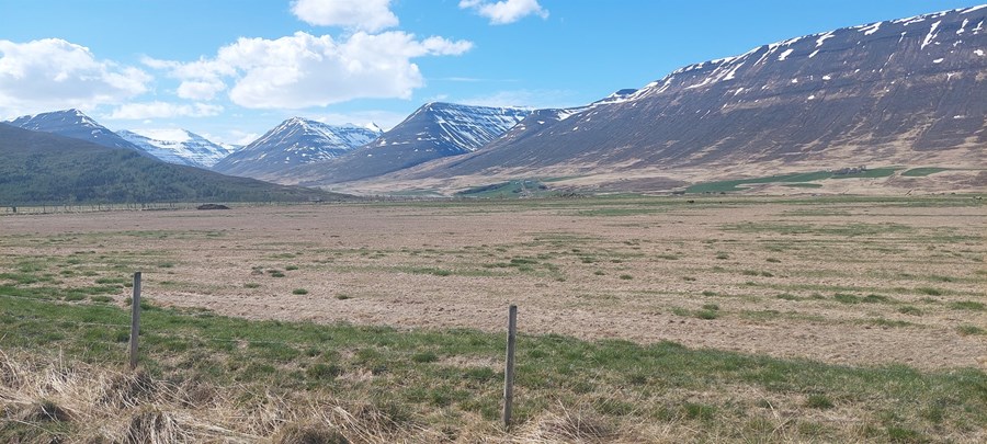 Stórtjón varð á túnum víða við Eyjafjörð.