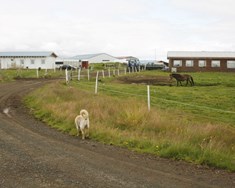 Hrafnkelsstaðir