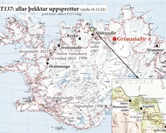 Breytileikinn T137 fannst á Grímsstöðum