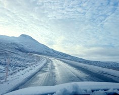 Vegleysur á Vestfjörðum