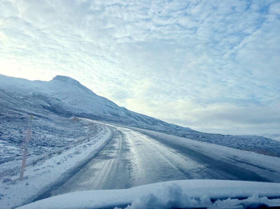 Vegleysur á Vestfjörðum