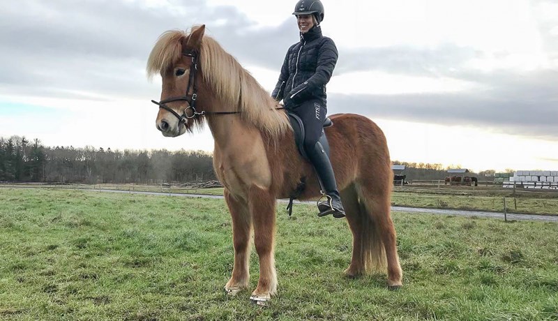 Spennandi markaðir beggja vegna Atlantshafsins