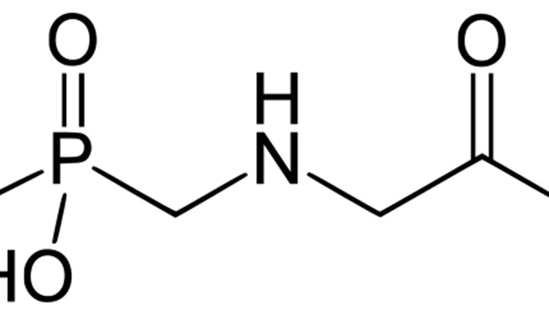 Glífósat, í Round Up, líklegur krabbameinsvaldur
