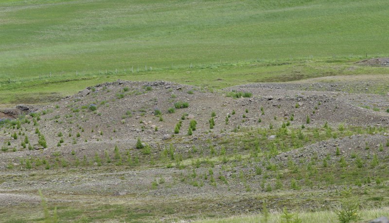 Fyrsta sala vottaðra kolefniseininga
