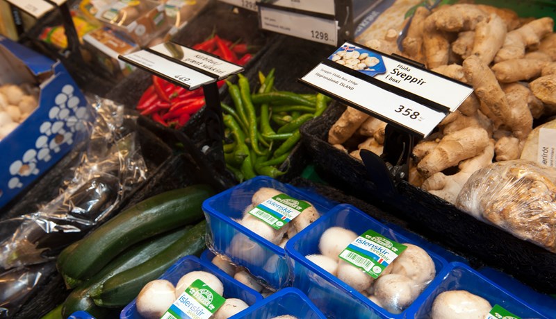 Stjórn Matvælasjóðs skipuð