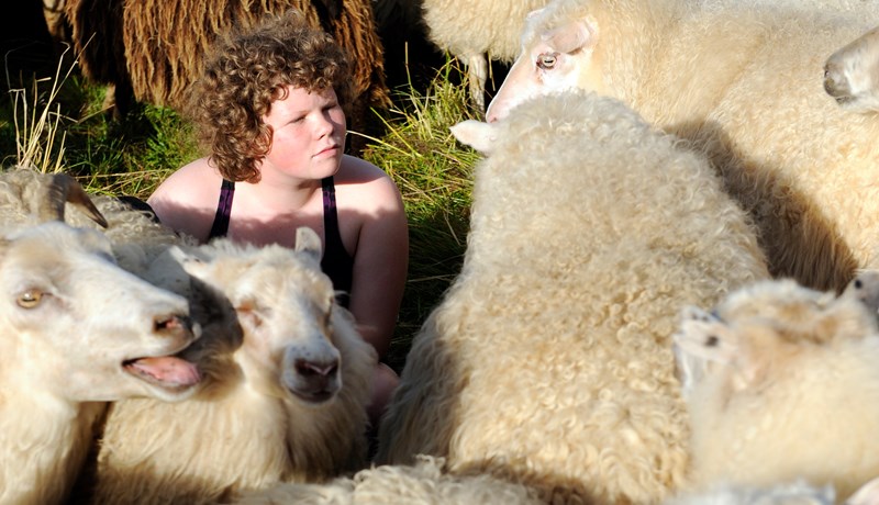 Íslensk sauðfjárrækt, tækifæri, markaðssetning og framþróun