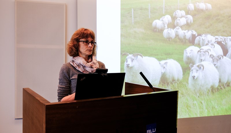 Beitarlandið lesið með augum góðrar beitarstjórnunar