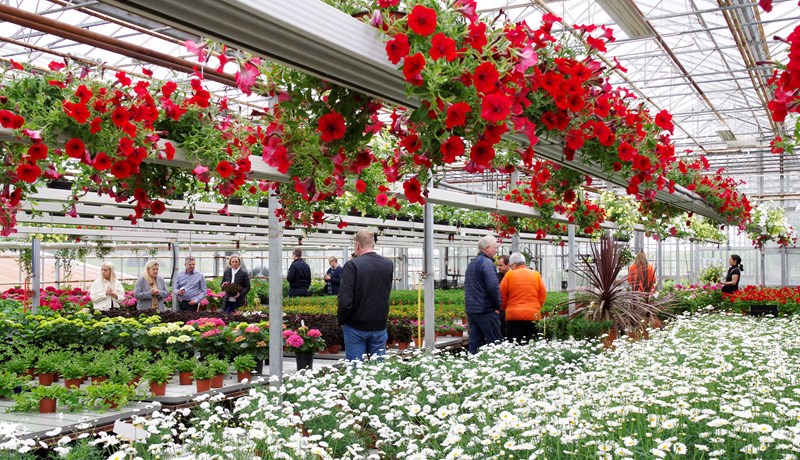 Garðyrkjuskóli Íslands stofnaður