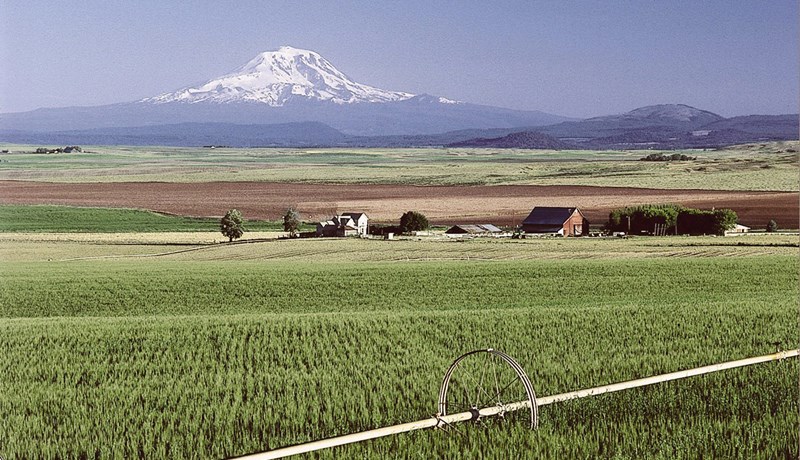 Borgar sig ekki að nýta uppskeruna