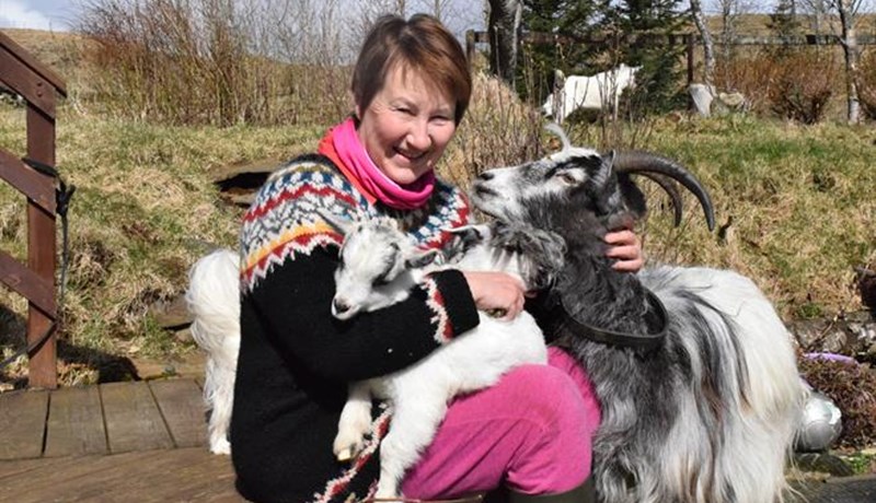 Geitfjárræktarfélags Íslands stefnir að fjölgun félaga