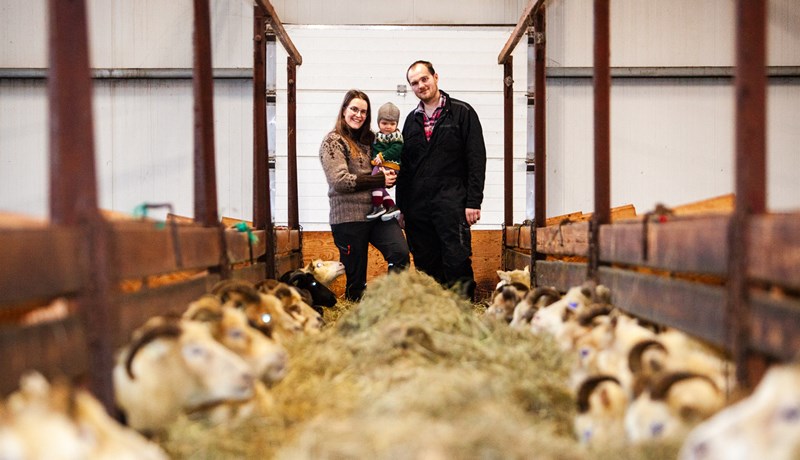 Ungt fólk tekið við Hrísum