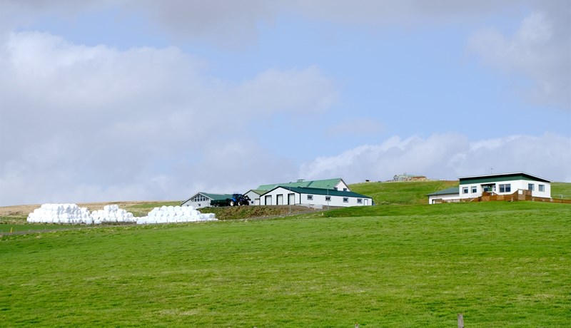 Eftirmál riðuveiki