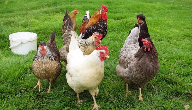 Persónur og leikendur