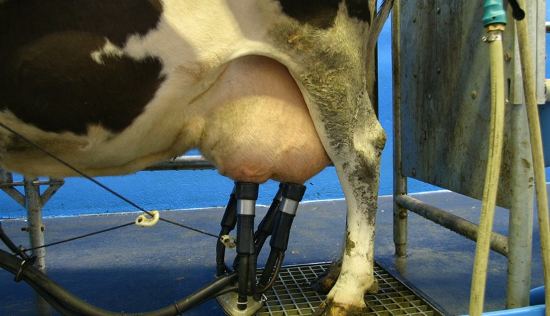 Ríkisstuðningur hefur lækkað um 51%