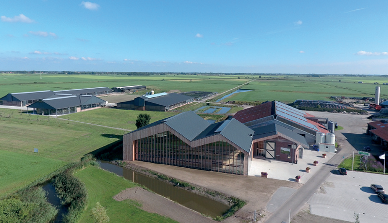 Dairy Campus – Þróunarsetur hollenskrar mjólkurframleiðslu