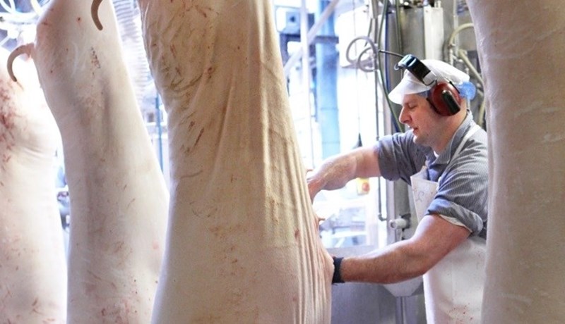 Lokað hjá Danish Crown í Skærbæk vegna smits í Þýskalandi