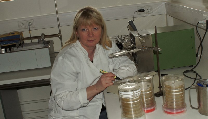 Efnagreiningaþjónusta fyrir bændur