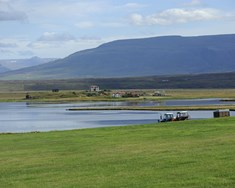 Sterkur landbúnaður þarf stefnufestu og aftur stefnufestu