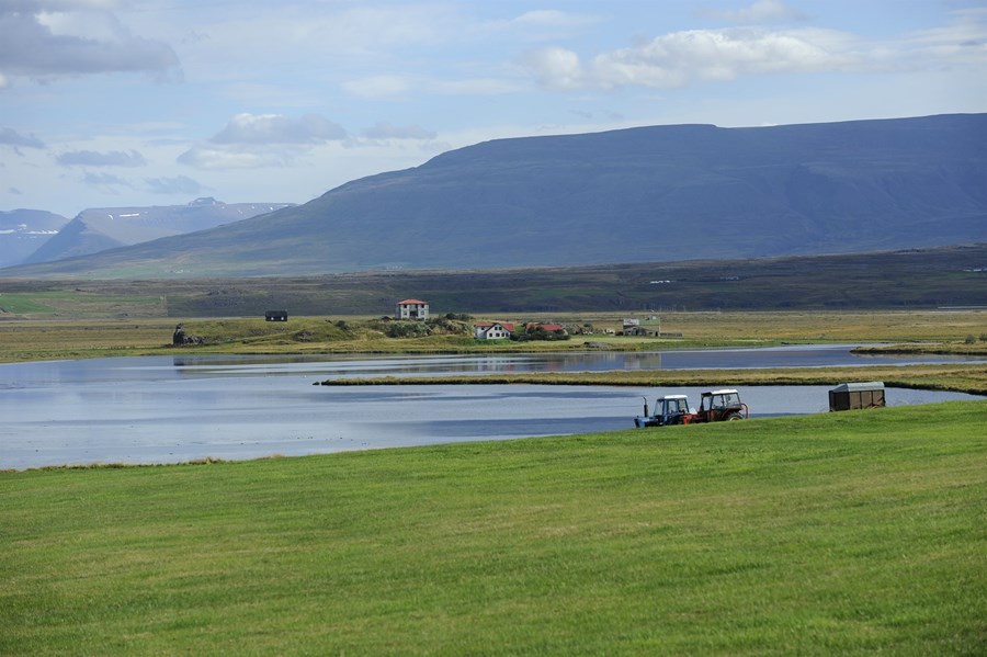 Sterkur landbúnaður þarf stefnufestu og aftur stefnufestu