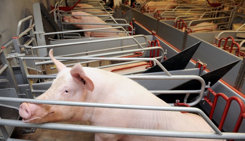 Öflugur stuðningur er víða til að mæta kostnaðarauka bænda