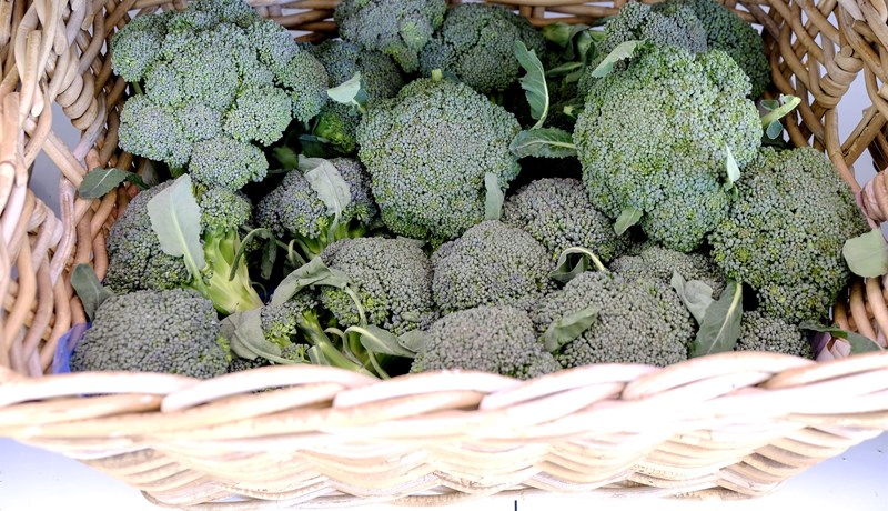 Úrkoman kom í hæfilegum skömmtum