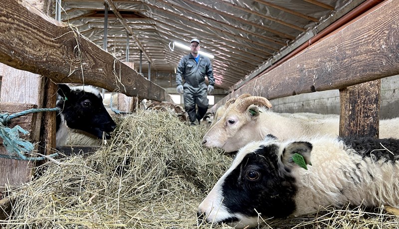 Beðið eftir viðbrögðum