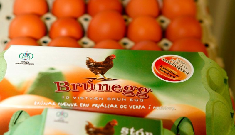 Mál sem má ekki endurtaka sig