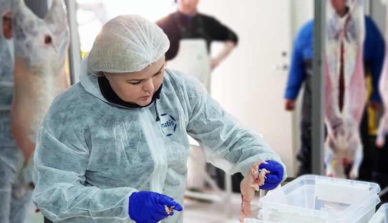 Forstjóri Matís seldi lambakjöt af heimaslátruðu á bændamarkaði á Hofsósi