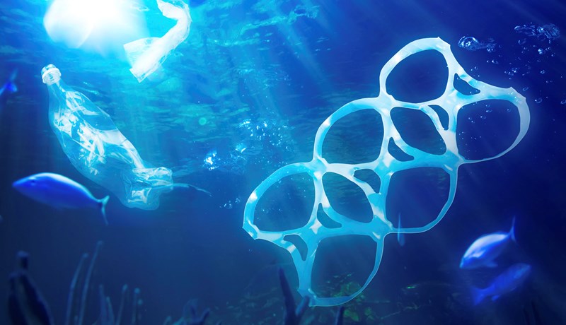 Plast í hafinu drepur seiði