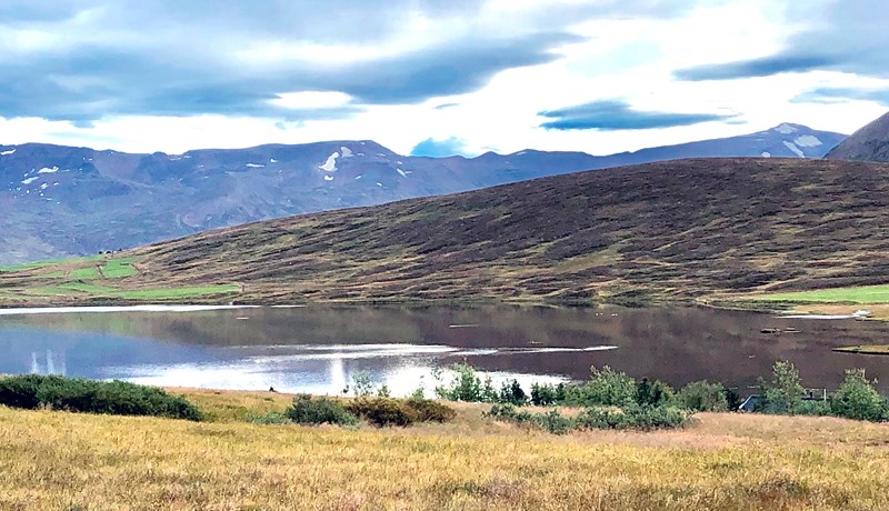 Mikið af bleikju í Flókadalsá í Fljótum