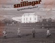 Fjórir snillingar