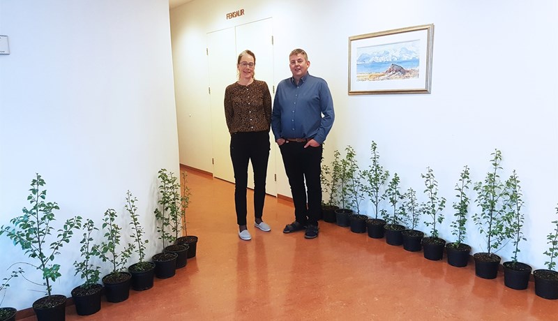 Aðalfundur Framsýnar stéttarfélags: Verkalýðsfélagið kolefnisjafnar starfsemina með plöntun trjáa