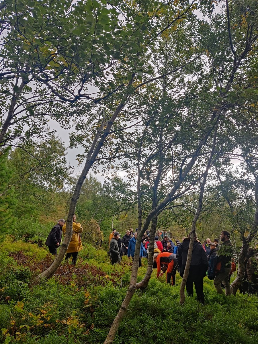 Fundarmenn í vettvangsferð í Hjallaskógi í Neskaupstað. Þar er vaxinn upp hávaxinn og fallegur skógur með fjölbreytta flóru.