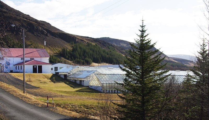 Starfandi fagfólk í garðyrkju stofnar Garðyrkjuskóla Íslands