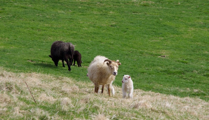 Vinnum okkur út úr vandanum