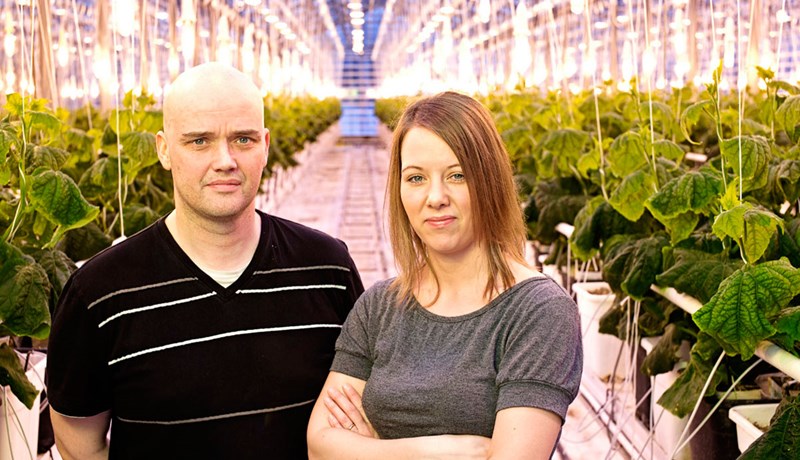 Íslenskar garðyrkjustöðvar stækka um nær 18 þúsund fermetra