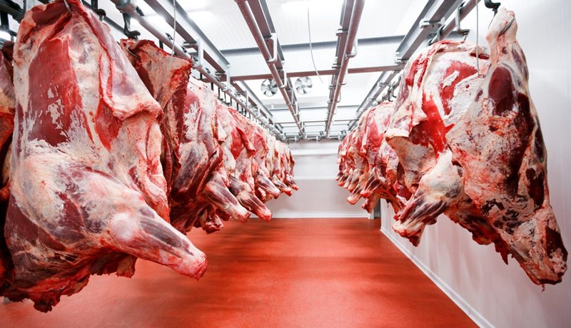 Innflutningi fylgir áhætta