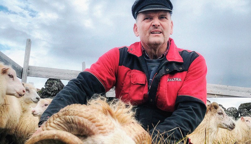 Síðasti hreppstjórinn á landinu í hlutverki réttarstjóra í Þverárrétt