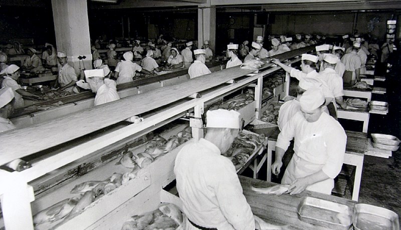 Hvaða fiskur er þetta?