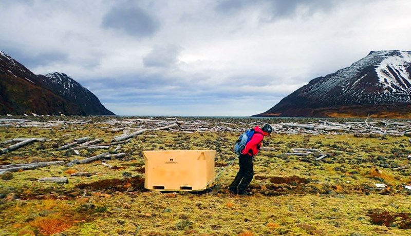 Hreinsuðu upp gríðarlegt magn af plasti úr Héðinsfirði