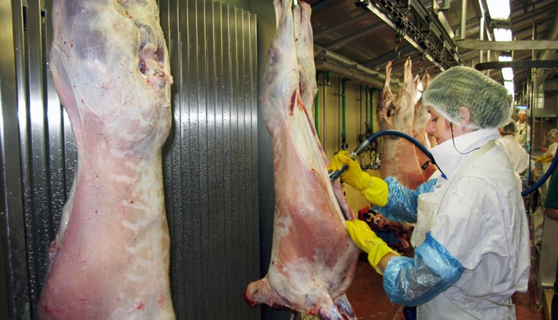 Sauðfjárbændum verði tryggt viðunandi verð