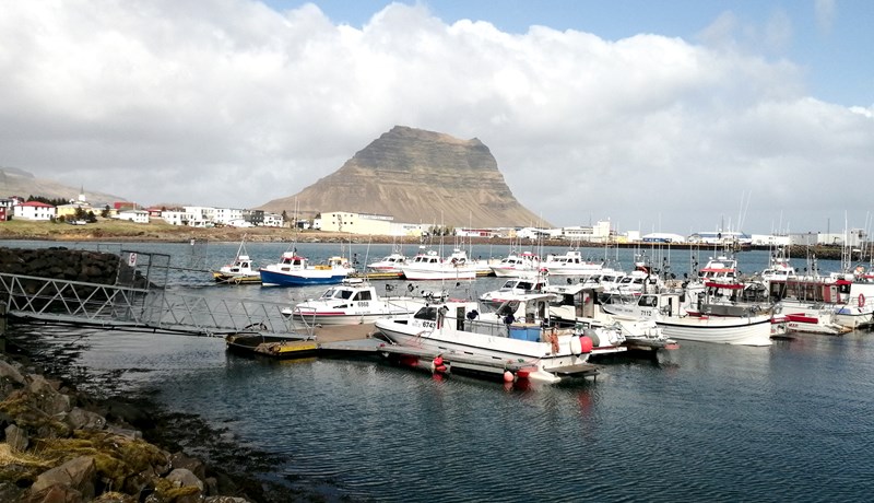 Ljós og líf í hverju húsi við ströndina