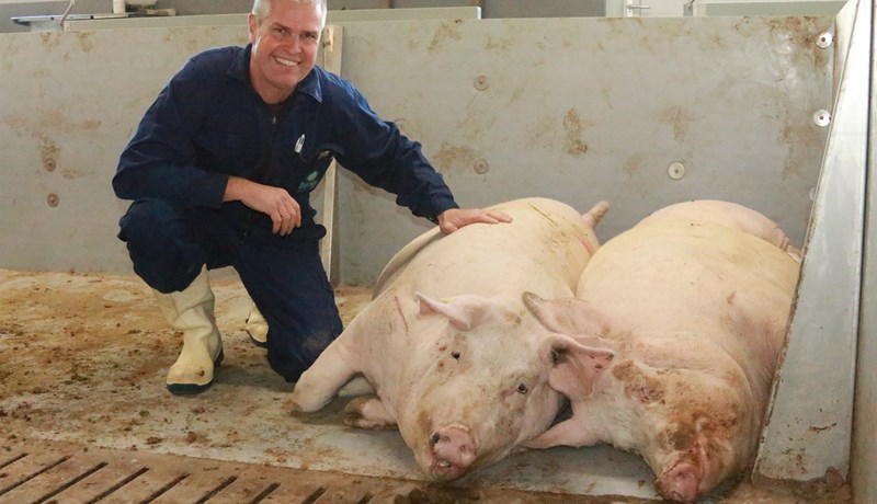 „Tollverndin er alfa og ómega fyrir okkur“