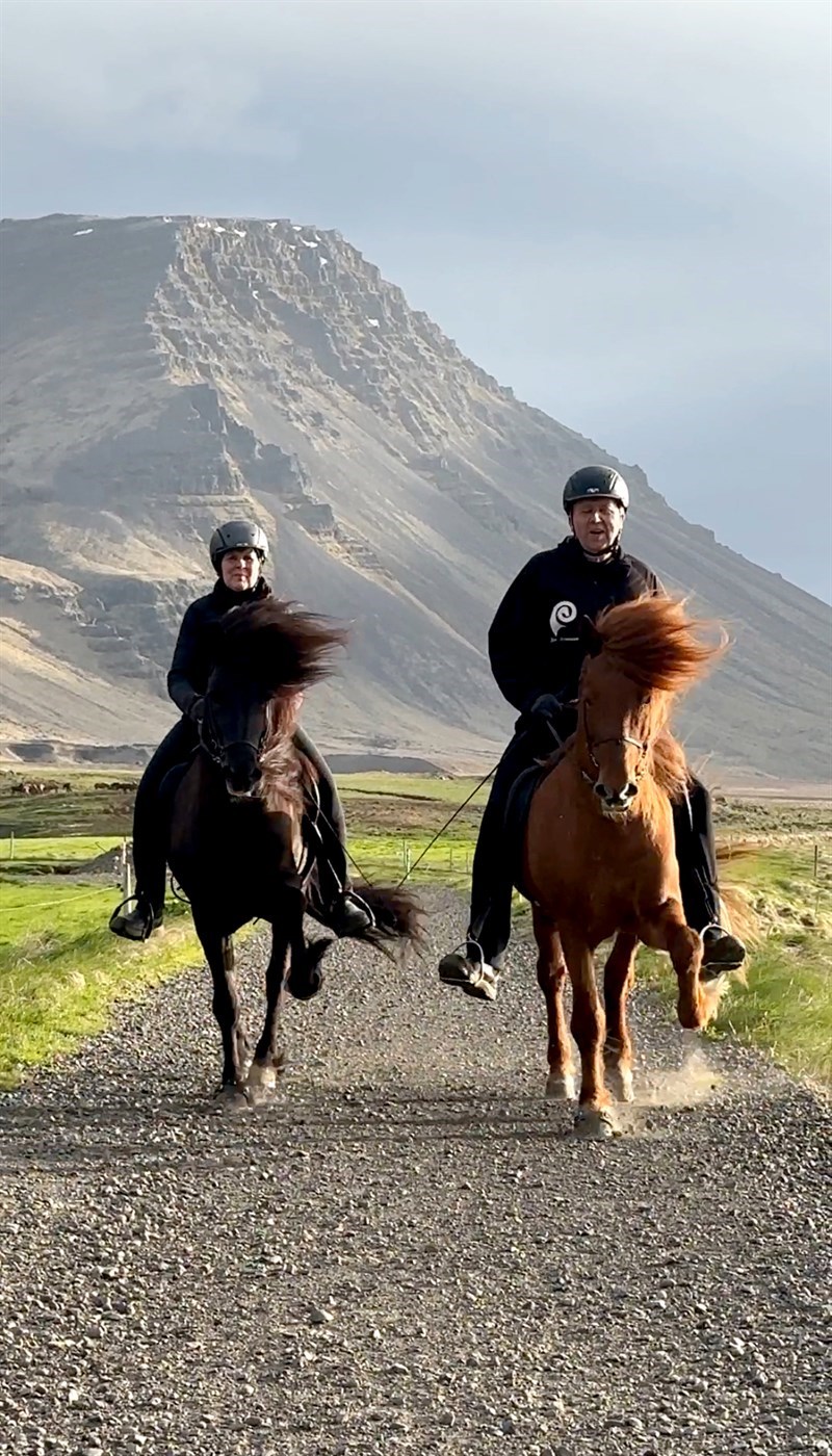 Hann er vígalegur hestakostur hjónanna á Skipaskaga sem taka hér tvo stóðhesta til kostanna. Sigurveig Stefánsdóttir er á Veigari og Jón Árnason situr Skagann.