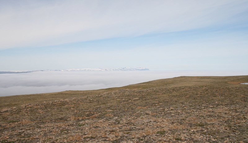 Hreint loft til framtíðar