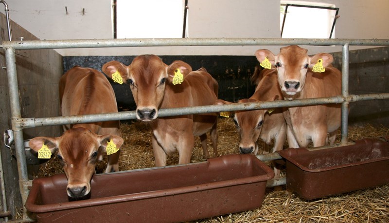 Mjólkurframleiðsla Norðurlandanna stóð í stað árið 2016